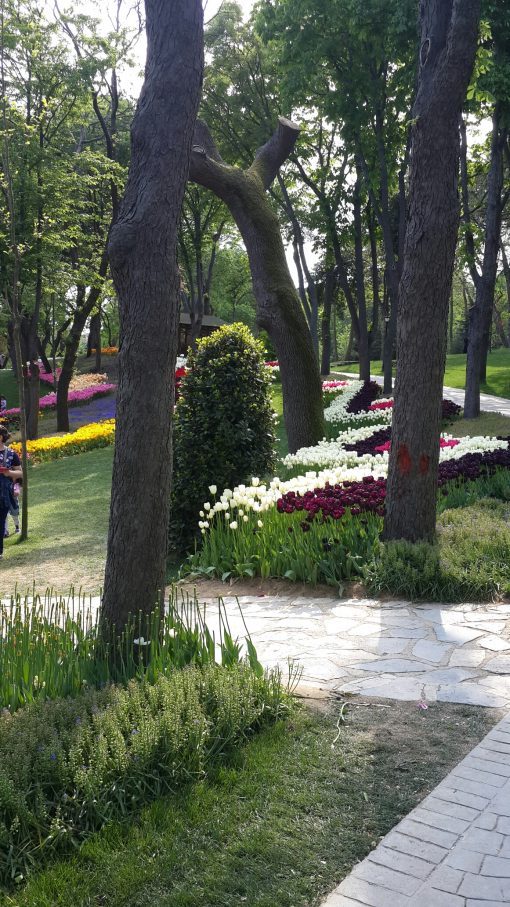 emirgan 3