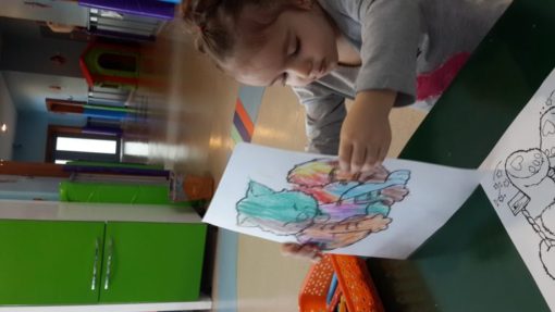 20160201_103924-768x432
