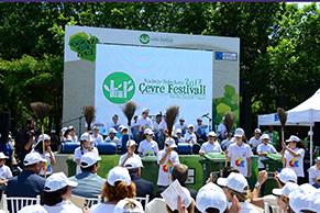 çevre festivali